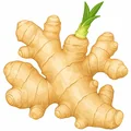 Ginger root